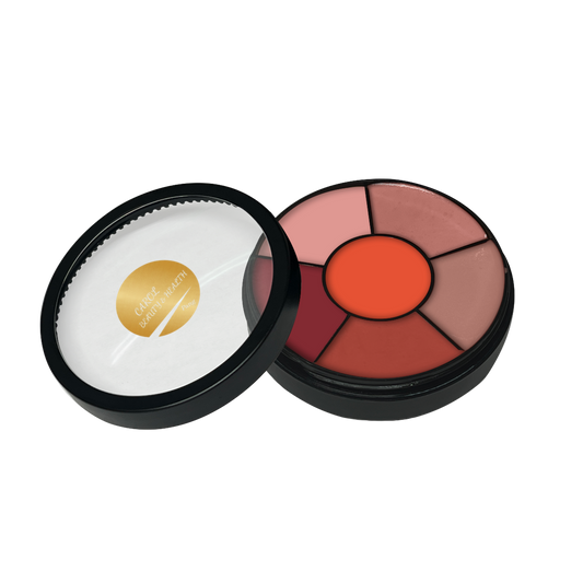 The Artist's Lip Palette - Orangelicious😍