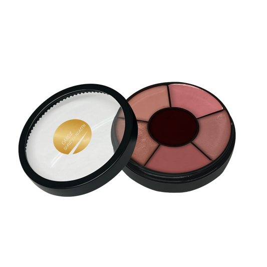 The Artist's Lip Palette - Wheel Kissolicious😍